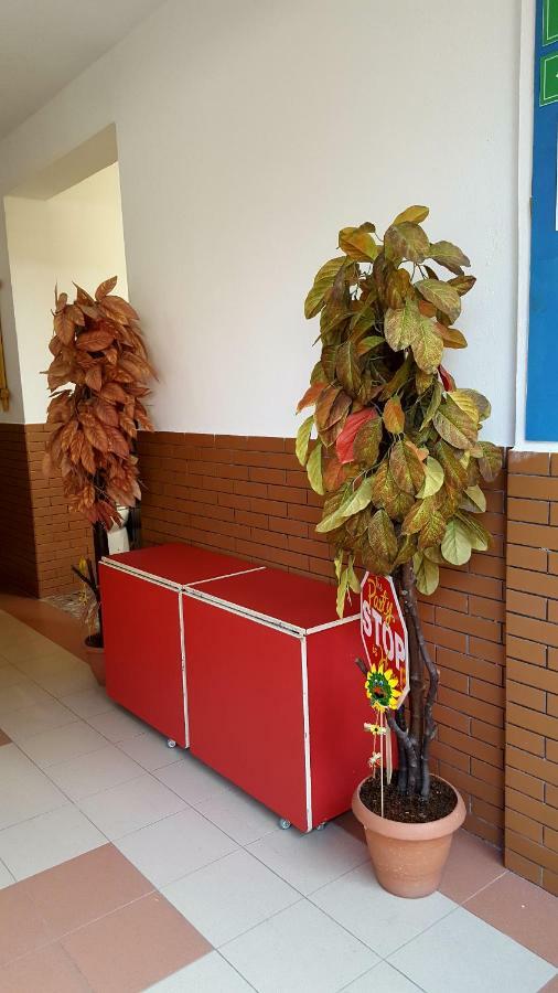 Home Hostel شكودر المظهر الخارجي الصورة